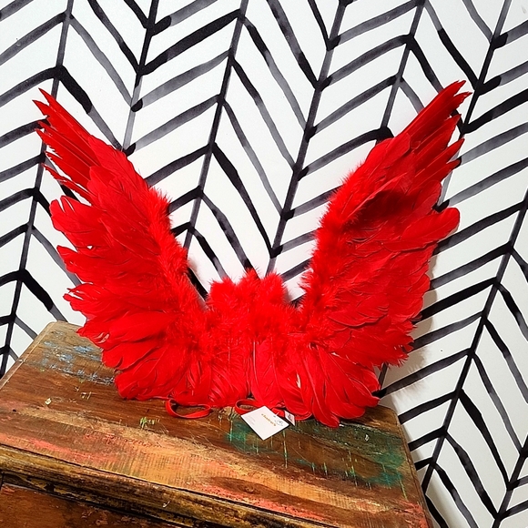 Red wings - Picture 2 of 2